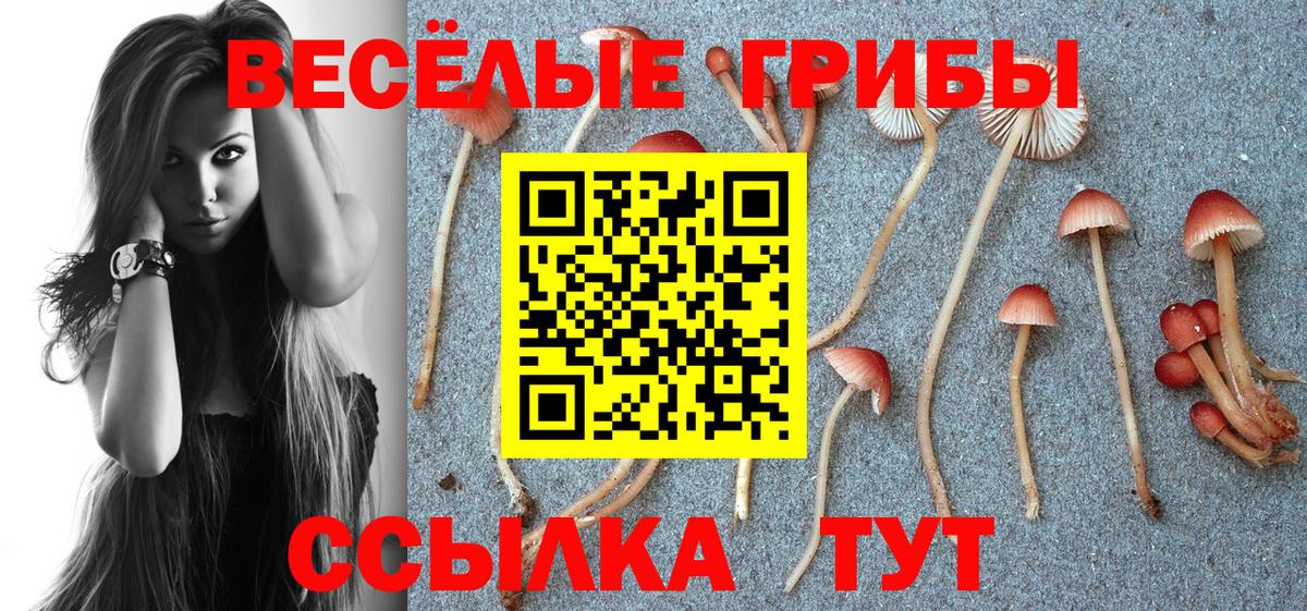 Псилоцибиновые грибы ЛСД  Вход с VPN  Лабытнанги 